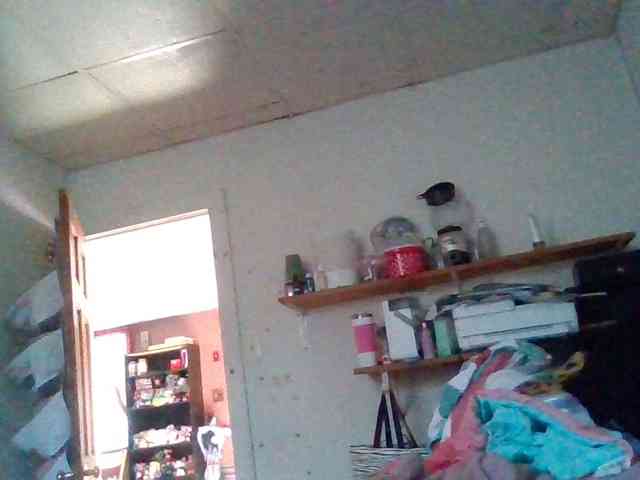 starlight1983 webcam