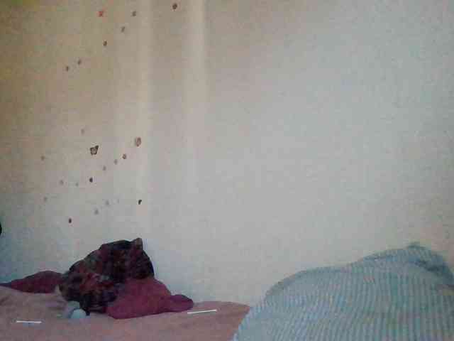 starlight1983 webcam