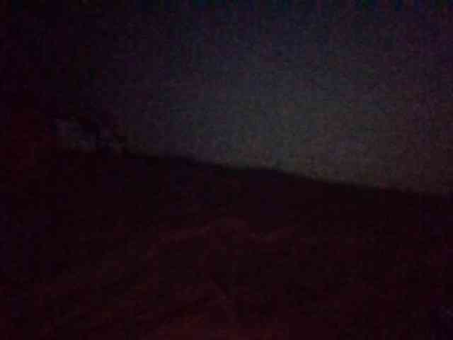 starlight1983 webcam