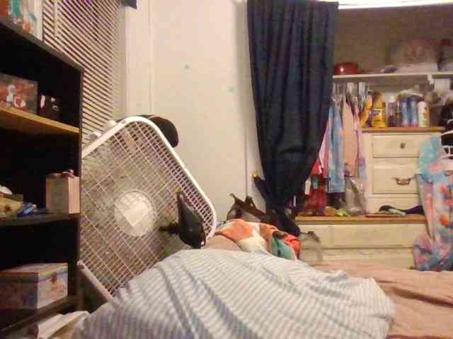 starlight1983 webcam