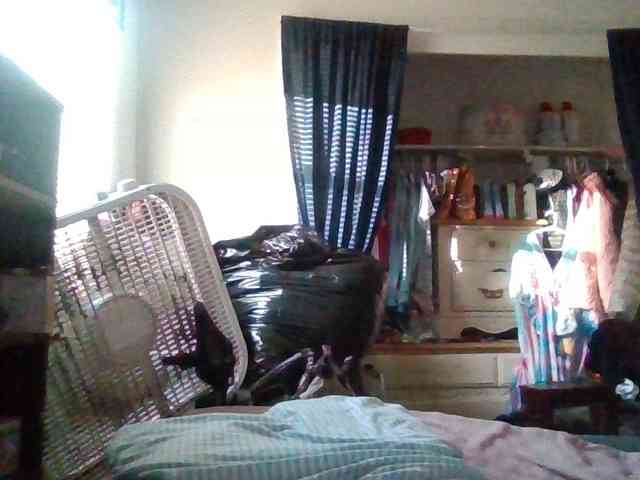 starlight1983 webcam