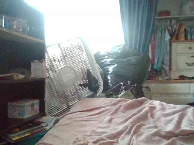 starlight1983 webcam