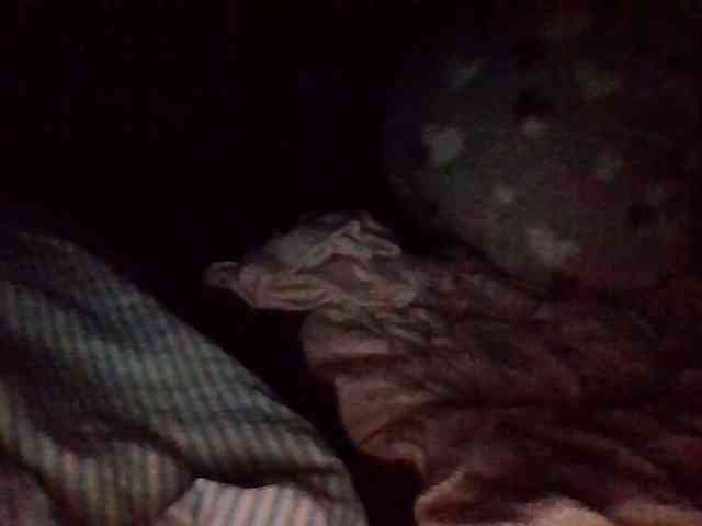 starlight1983 webcam