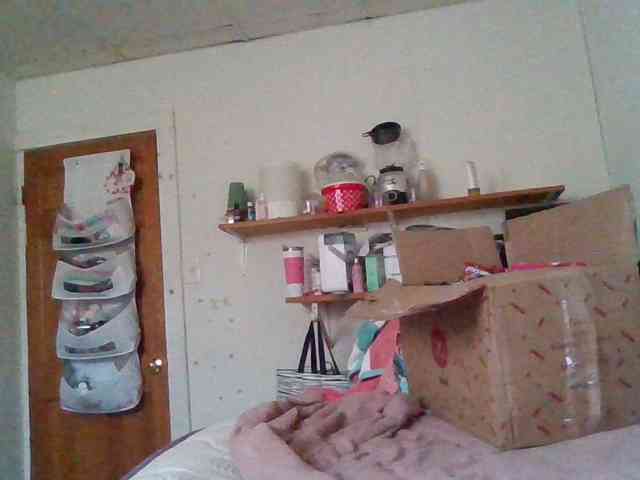 starlight1983 webcam