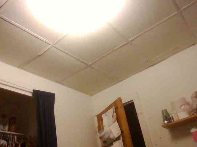 starlight1983 webcam