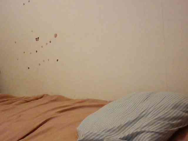 starlight1983 webcam