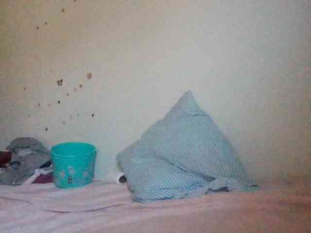 starlight1983 webcam