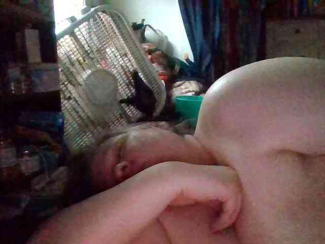 starlight1983 webcam