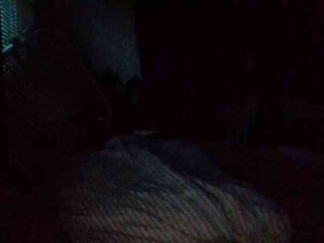 starlight1983 webcam