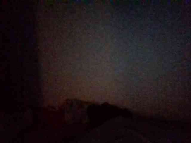 starlight1983 webcam