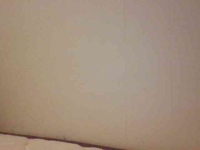 starlight1983 webcam