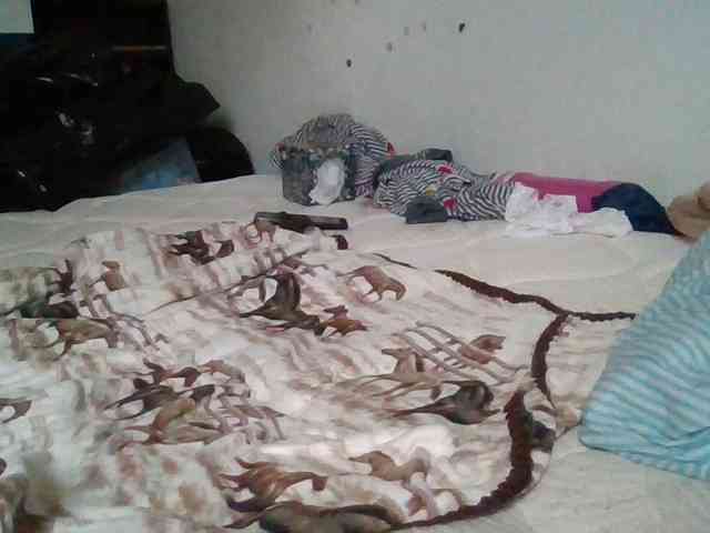 starlight1983 webcam