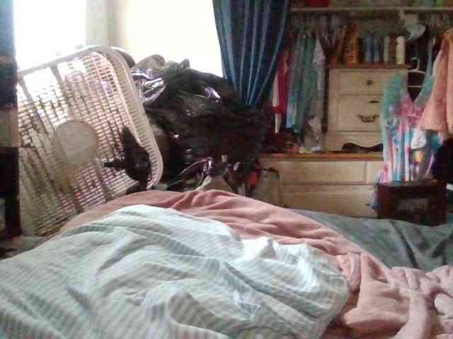 starlight1983 webcam