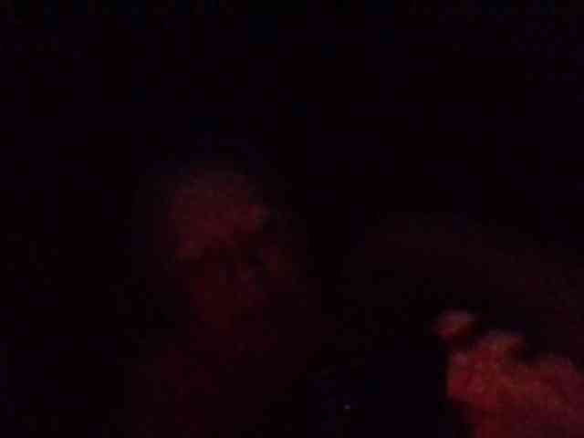 starlight1983 webcam