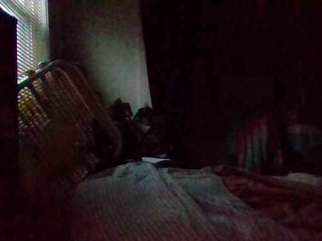 starlight1983 webcam