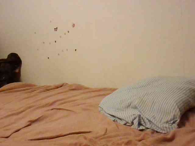 starlight1983 webcam