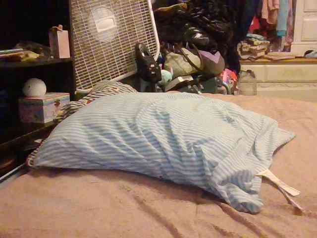 starlight1983 webcam