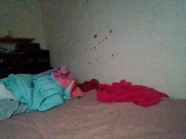 starlight1983 webcam