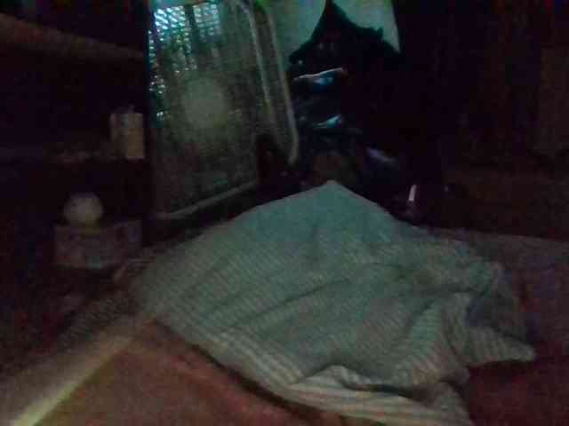 starlight1983 webcam