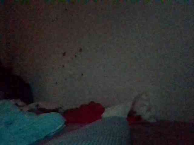 starlight1983 webcam