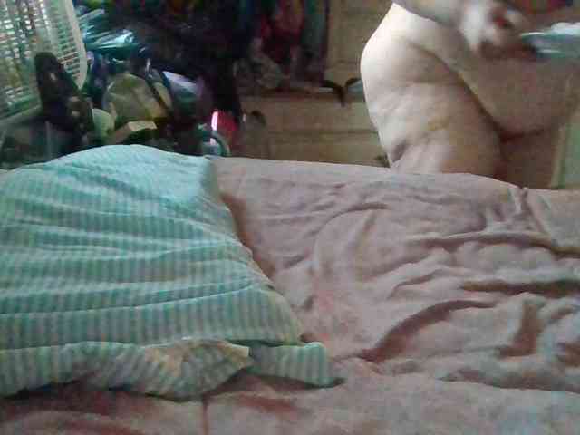 starlight1983 webcam