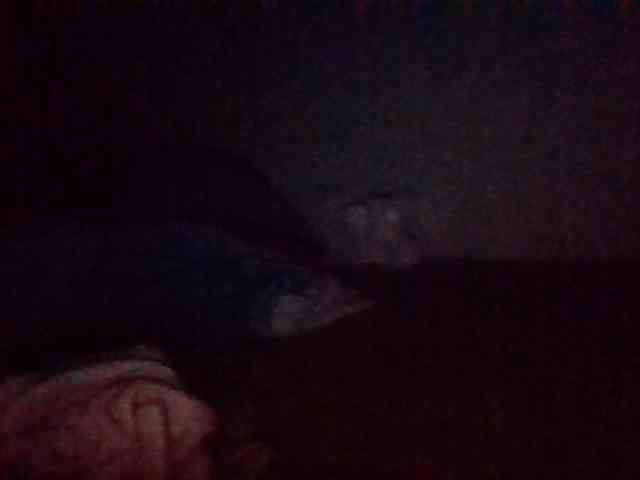 starlight1983 webcam