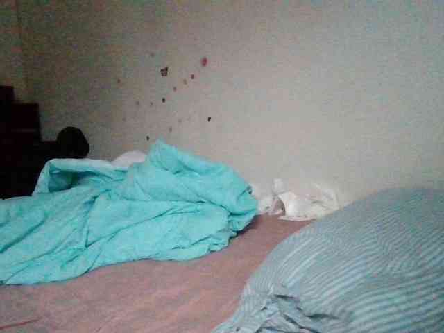 starlight1983 webcam