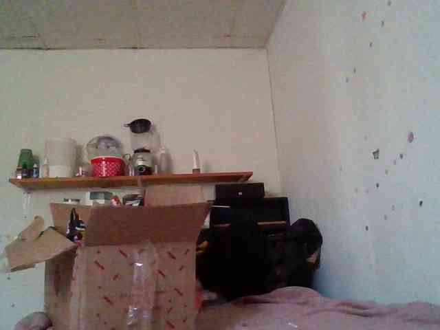 starlight1983 webcam