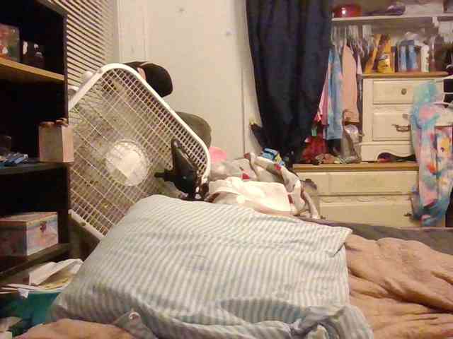 starlight1983 starlight1983