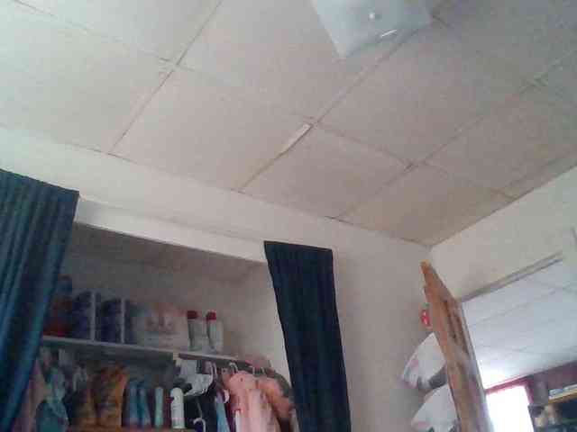 starlight1983 webcam