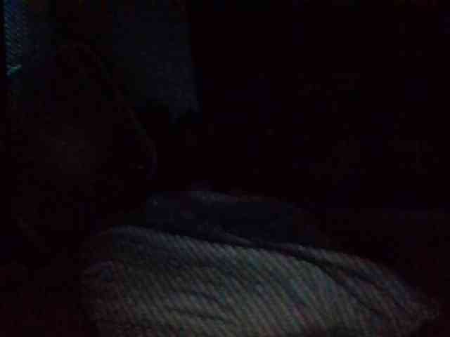 starlight1983 webcam