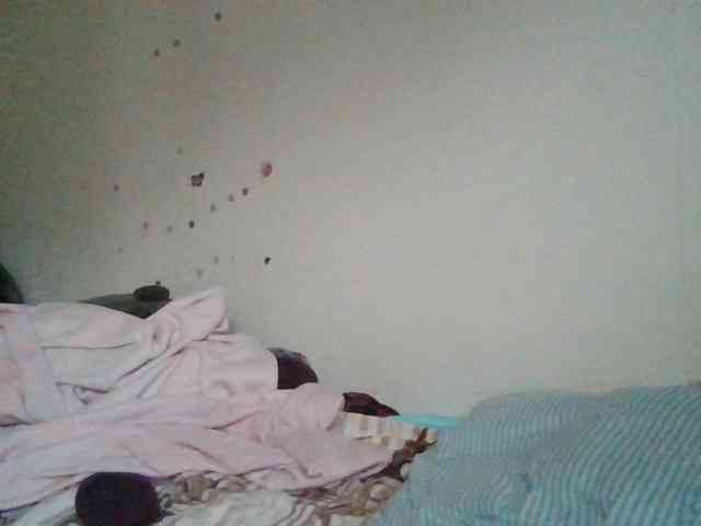 starlight1983 webcam