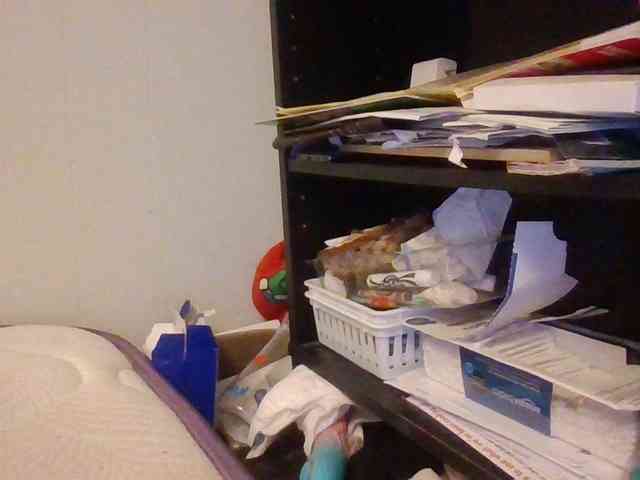 starlight1983 webcam