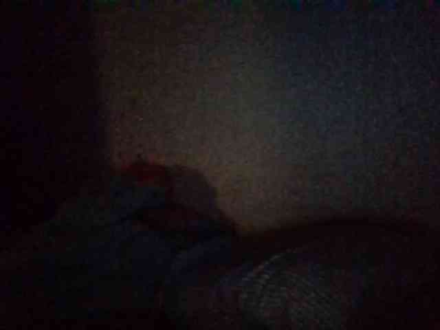 starlight1983 webcam