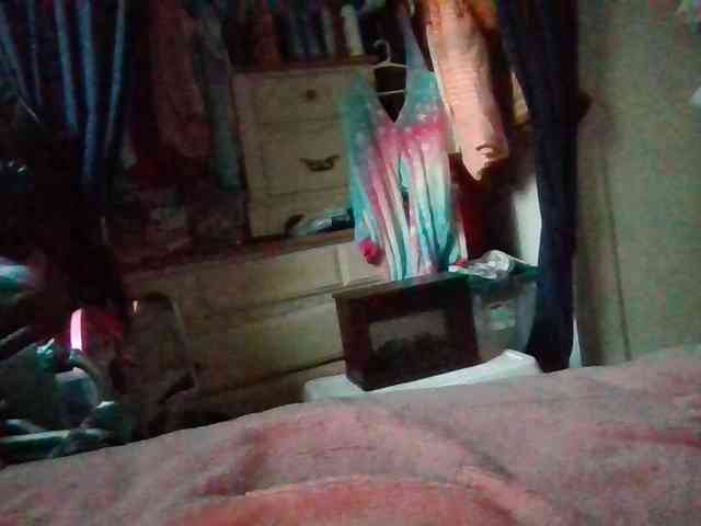 starlight1983 webcam