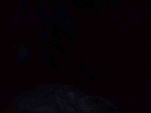 starlight1983 webcam