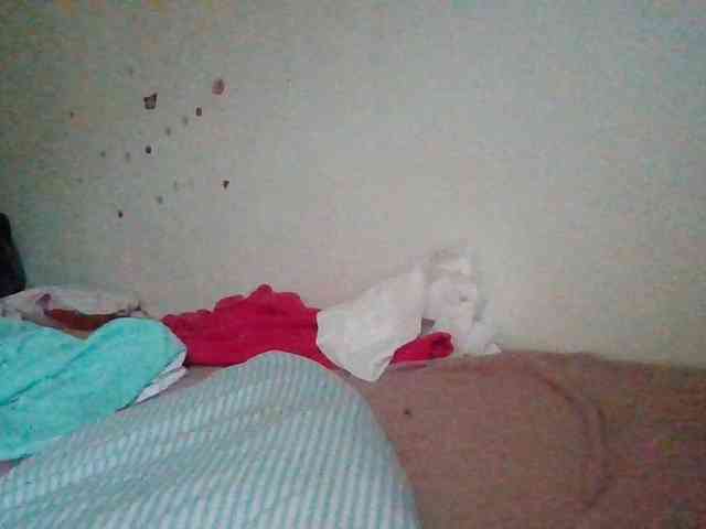 starlight1983 webcam