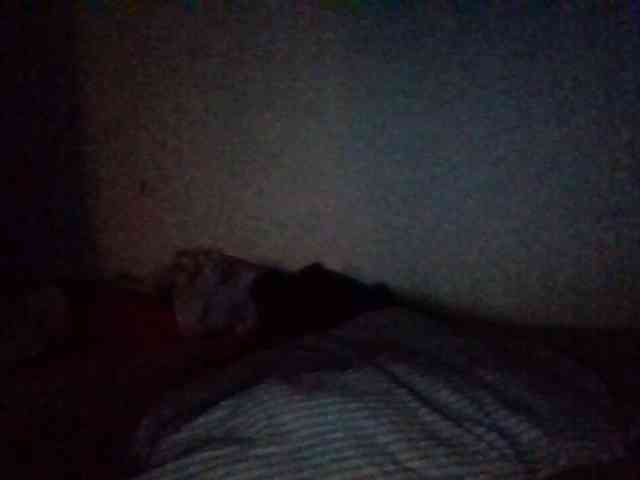 starlight1983 webcam