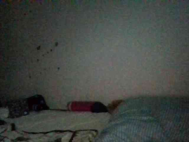 starlight1983 webcam