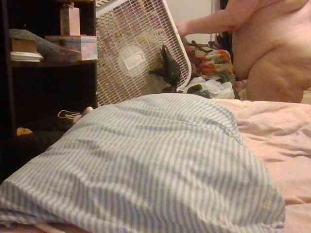 starlight1983 webcam