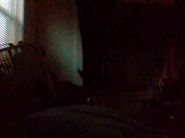 starlight1983 webcam