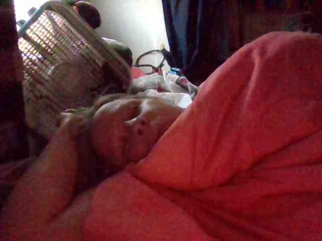 starlight1983 starlight1983