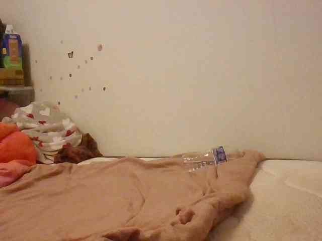 starlight1983 webcam