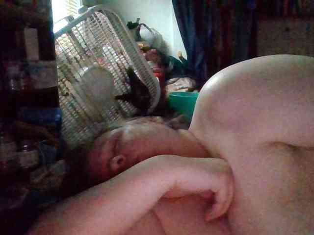 starlight1983 webcam
