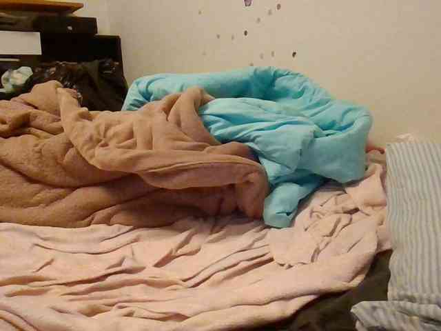 starlight1983 webcam