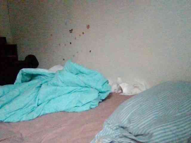 starlight1983 webcam