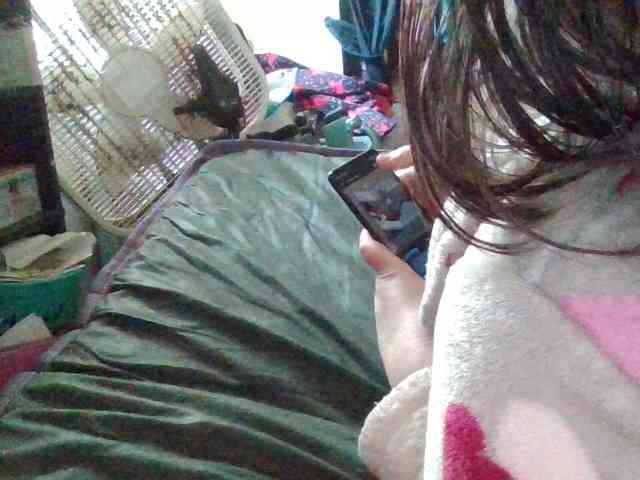 starlight1983 starlight1983