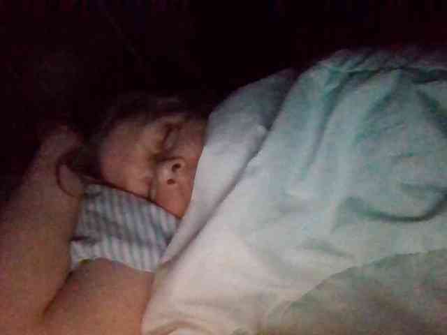 starlight1983 webcam