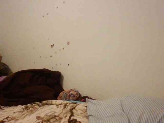 starlight1983 webcam