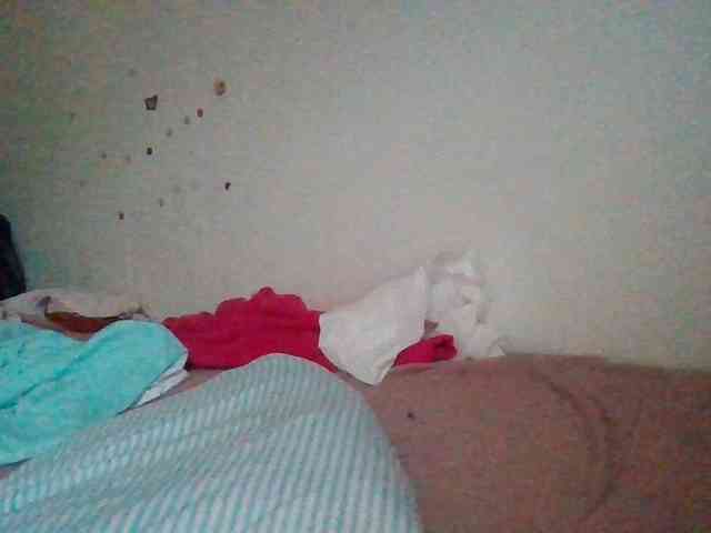 starlight1983 webcam